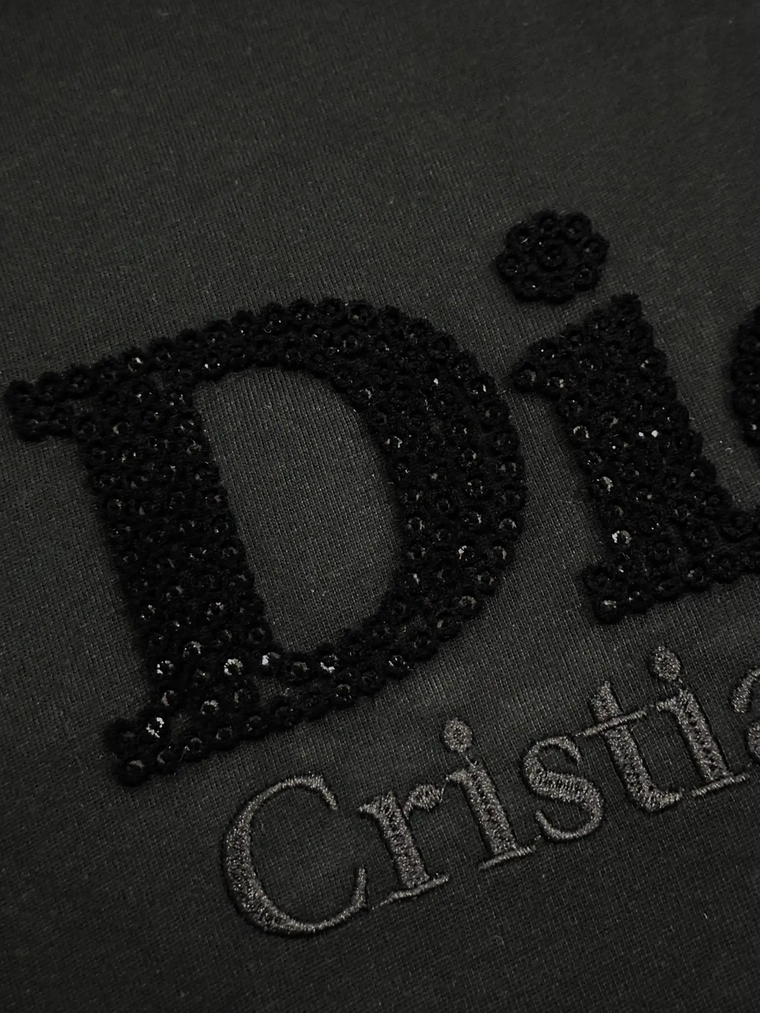 Embroidered Logo Cotton T-Shirt D13513460 — view 5