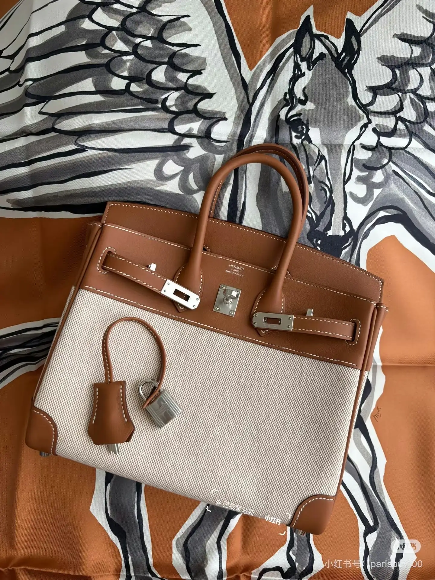 Birkin Canvas & Leather Top-Handle Bag D59018545