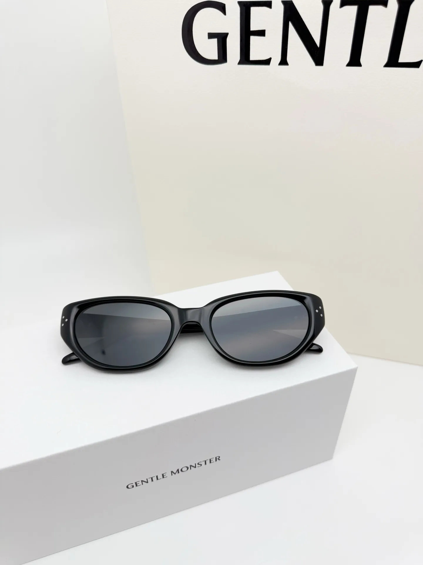 BONI Cat-Eye Sunglasses D34017763 — view 3
