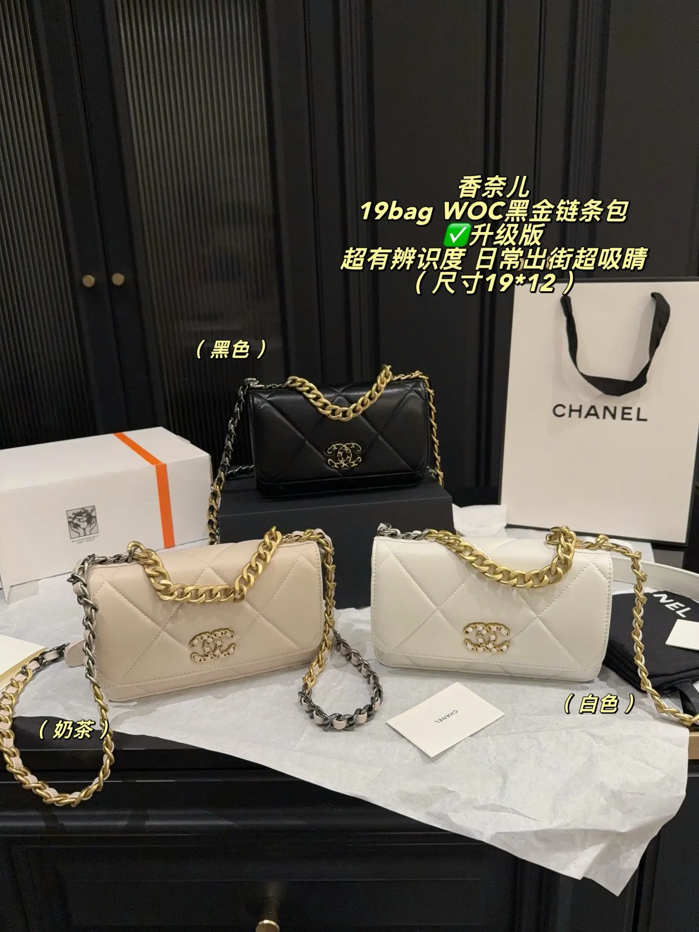 Chanel 19 WOC Quilted Chain Bag D26518016 — view 6