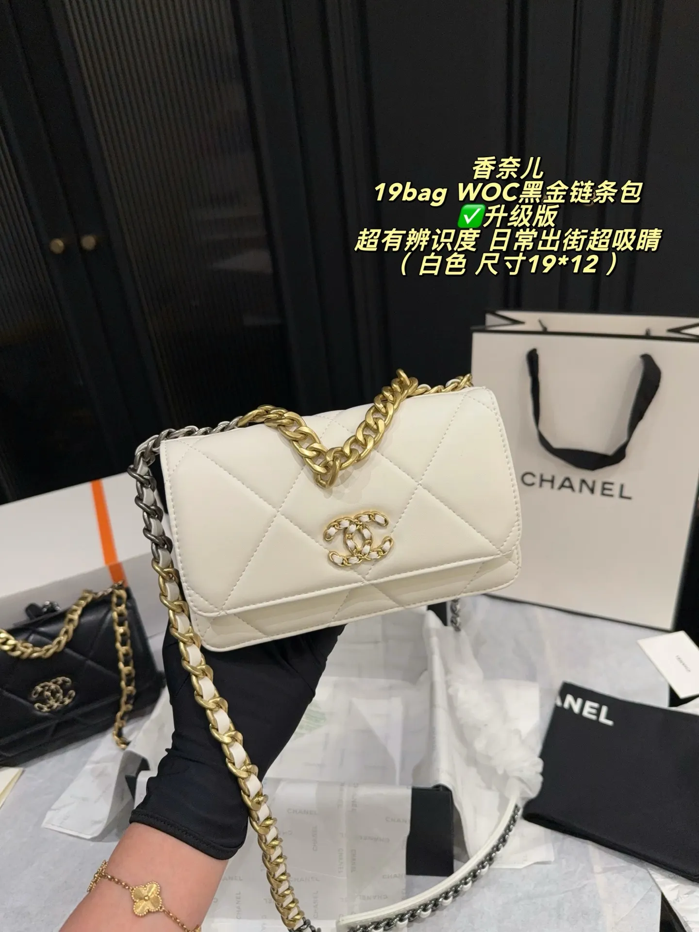 Chanel 19 WOC Quilted Chain Bag D26518016 — view 9