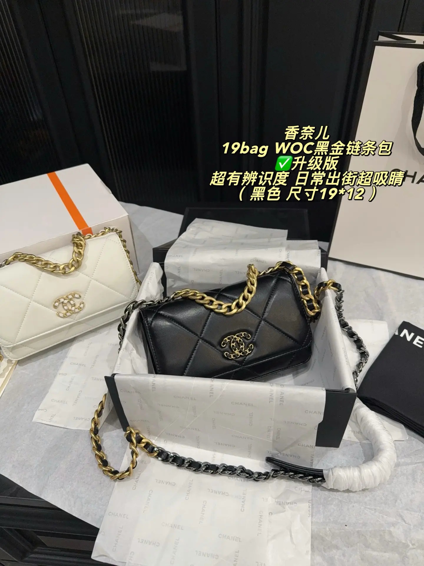 Chanel 19 WOC Quilted Chain Bag D26518016