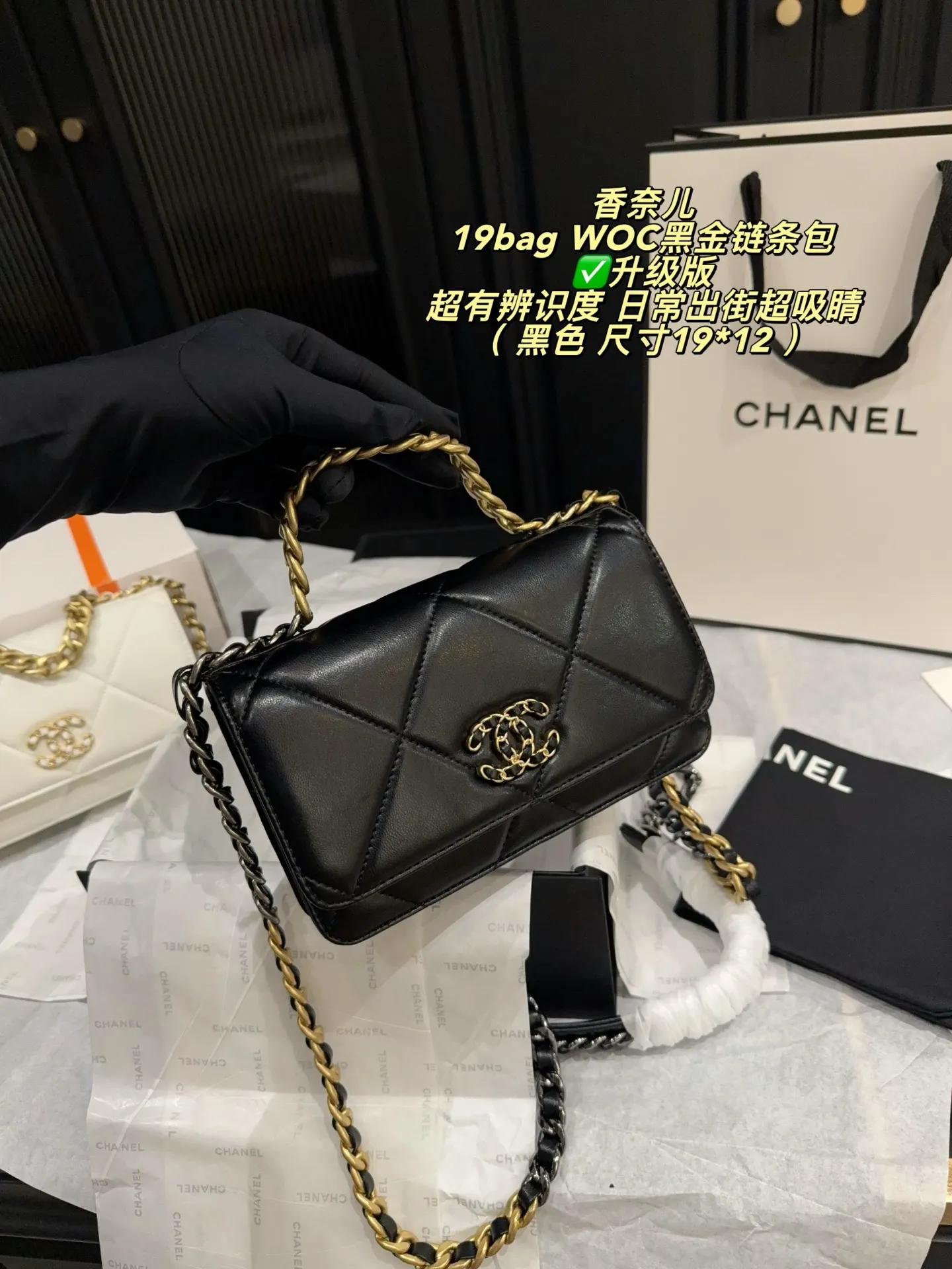 Chanel 19 WOC Quilted Chain Bag D26518016 — view 2