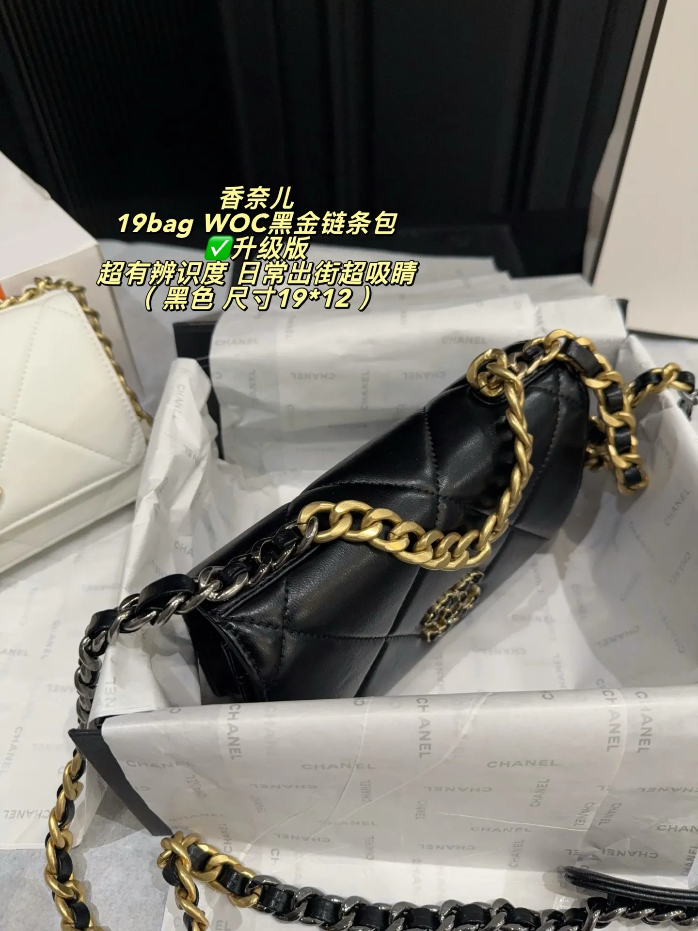 Chanel 19 WOC Quilted Chain Bag D26518016 — view 3
