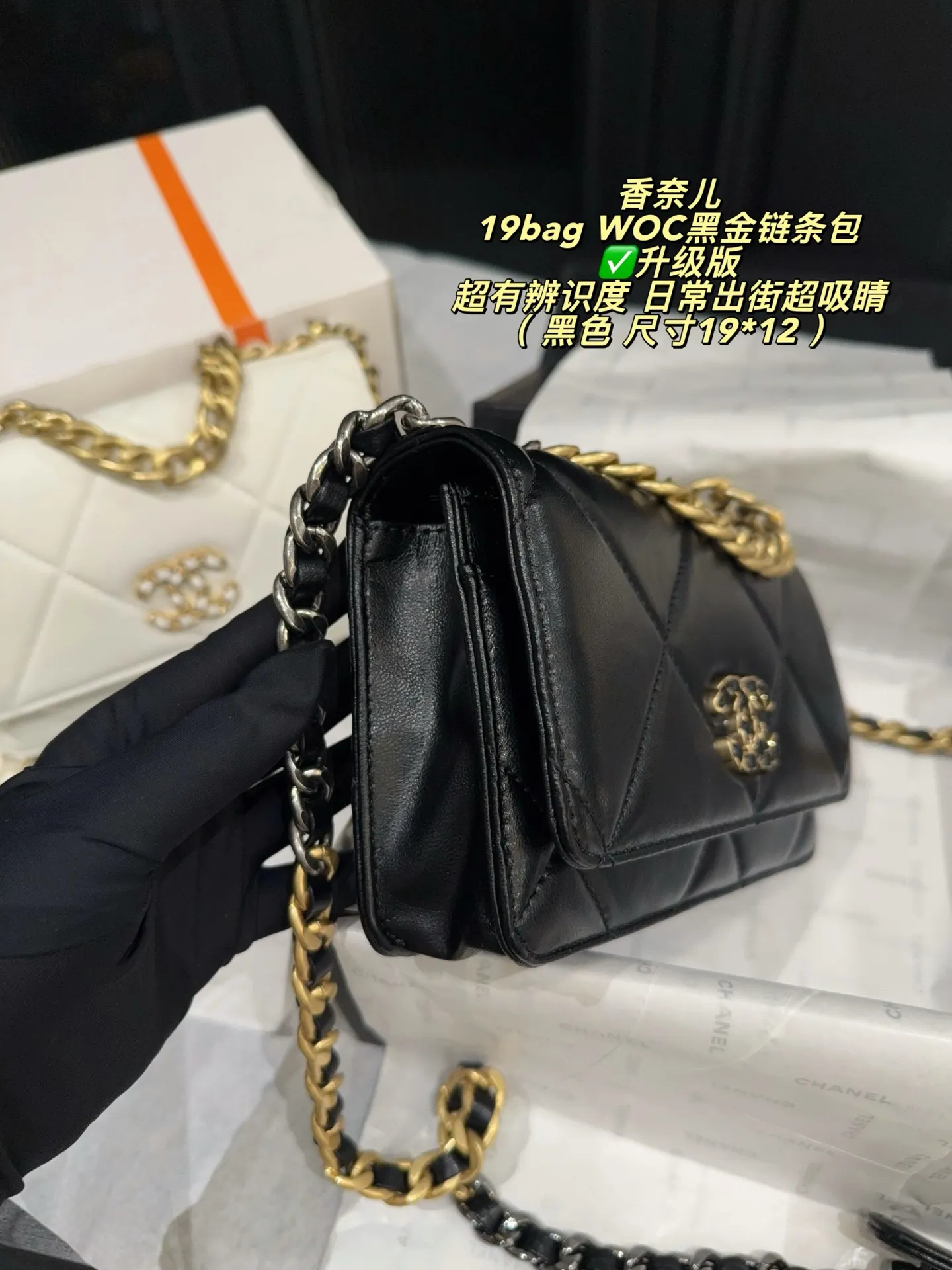 Chanel 19 WOC Quilted Chain Bag D26518016 — view 4
