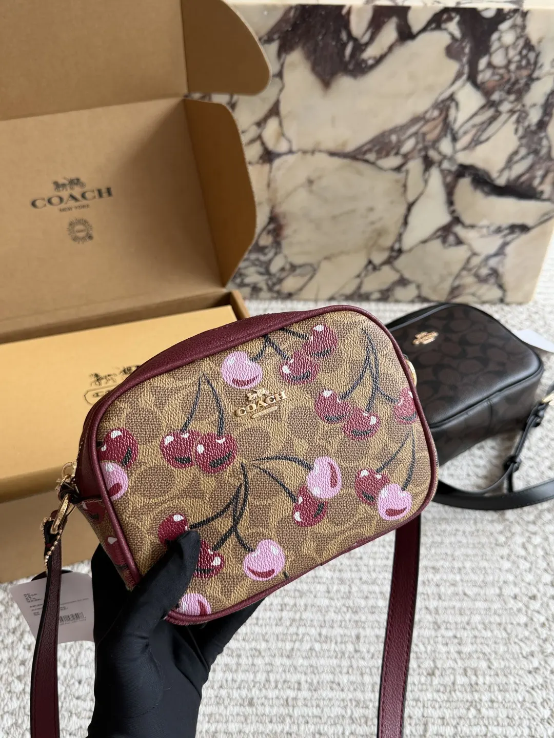 Signature Coated Canvas Camera Bag D27517857 — view 4