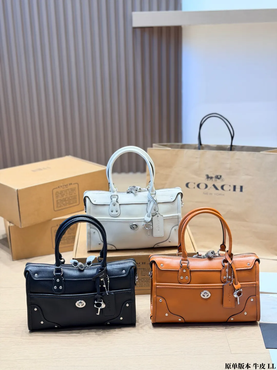 Coach Rhyder 24 Leather Satchel D33018037