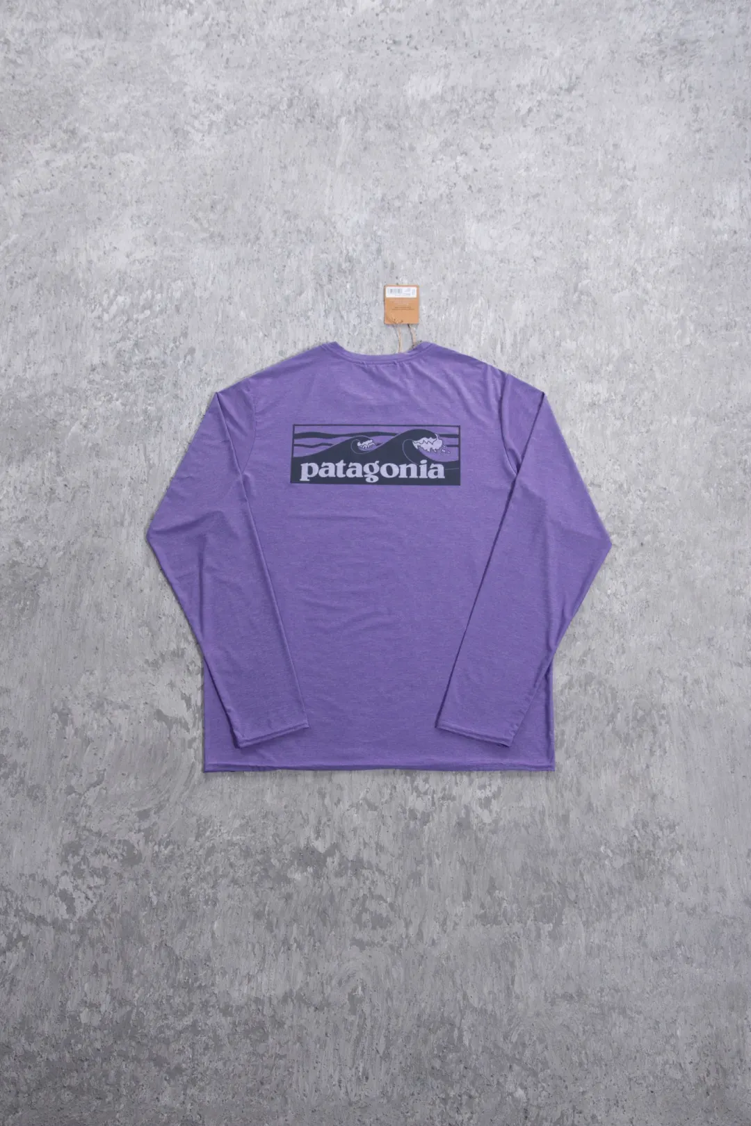 Capilene Cool Daily Long-Sleeve Graphic Shirt D12024995 — view 70