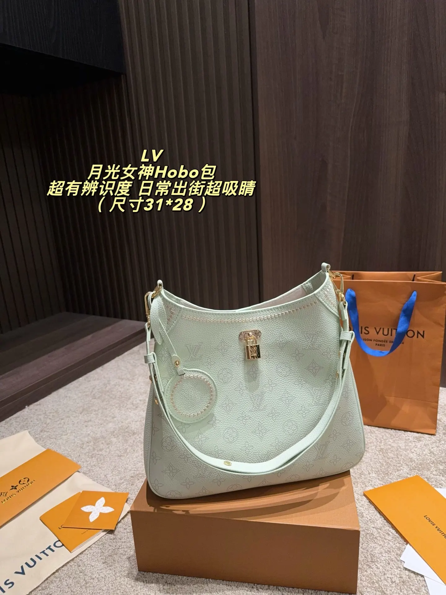 Beaubourg Hobo Monogram Perforated Leather Bag D34518399