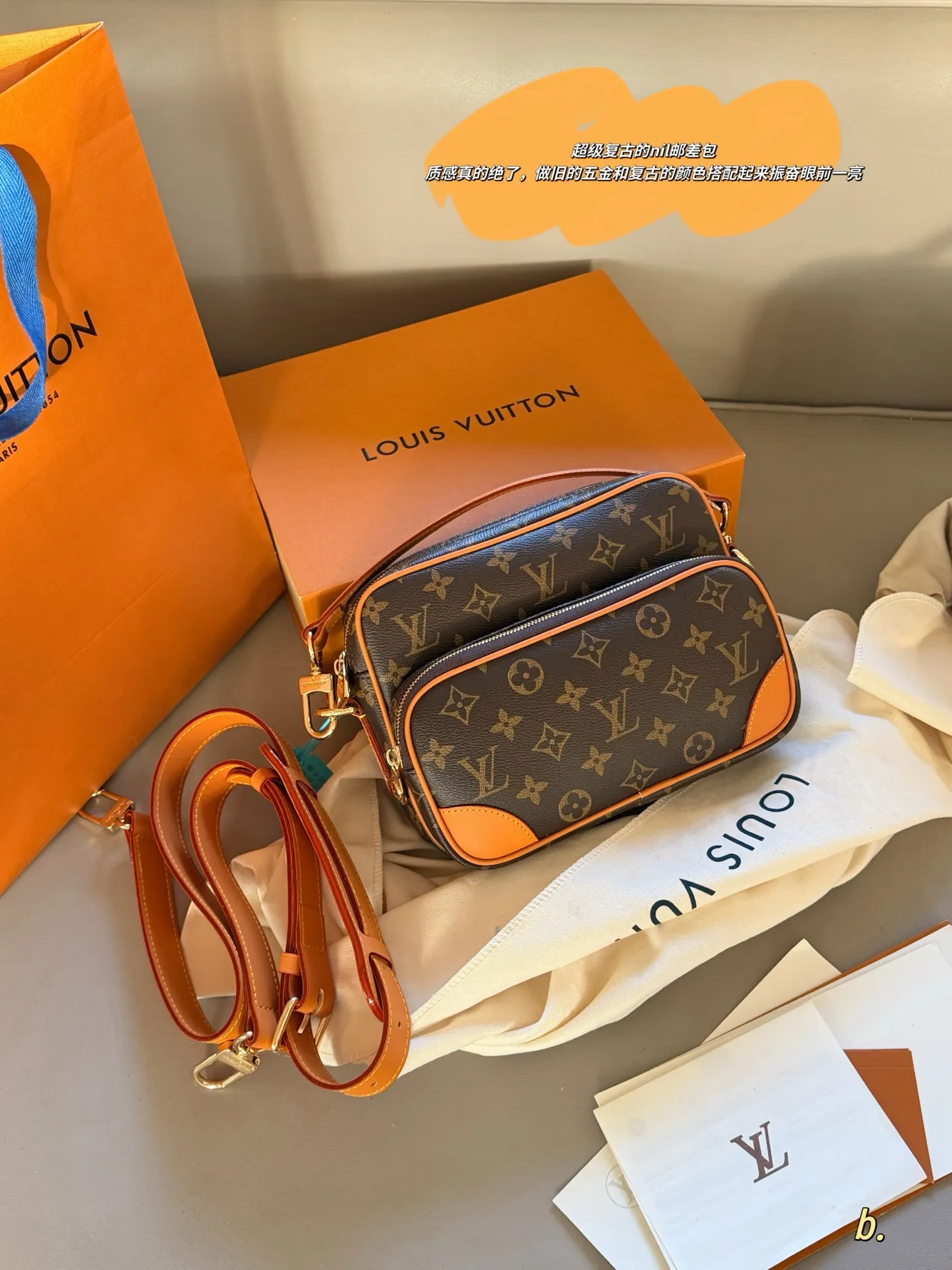 Monogram Canvas Camera Bag D36018087