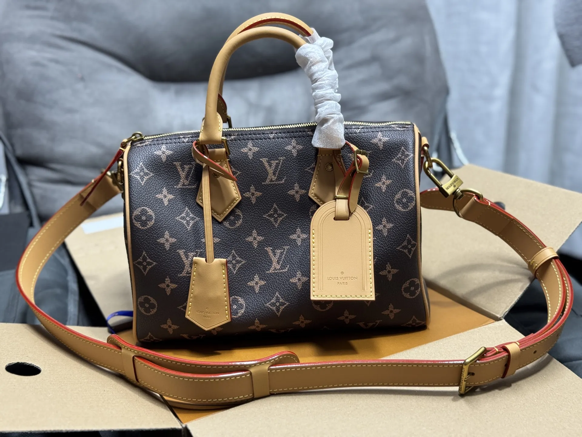 Louis Vuitton Speedy 25 Monogram Handbag D51018449
