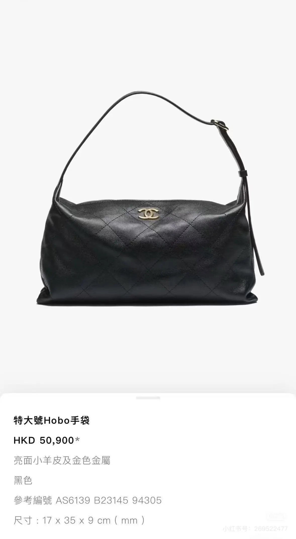 Chanel Quilted Hobo Bag D52018476 — view 8