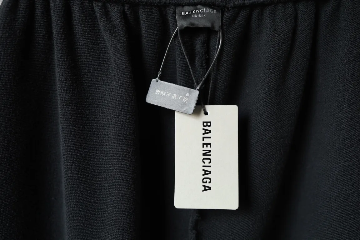 Lion Crest Embroidered Wide-Leg Sweats D25520076 — view 18