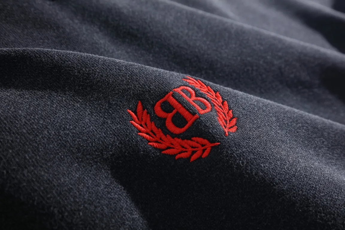 Washed Distressed Logo Embroidery Hoodie D27922584 — view 3