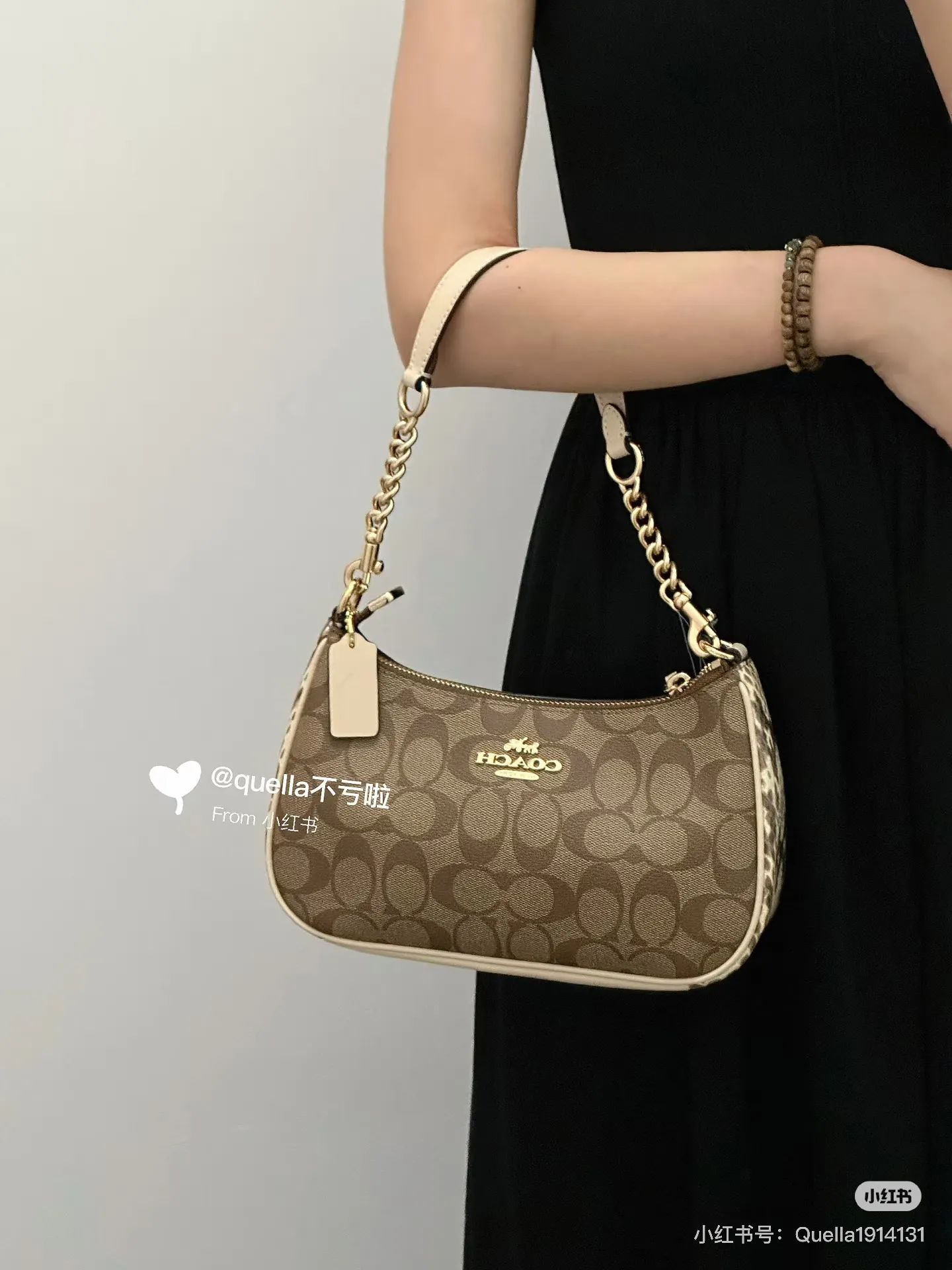 Teri Monogram Shoulder Bag D30018174
