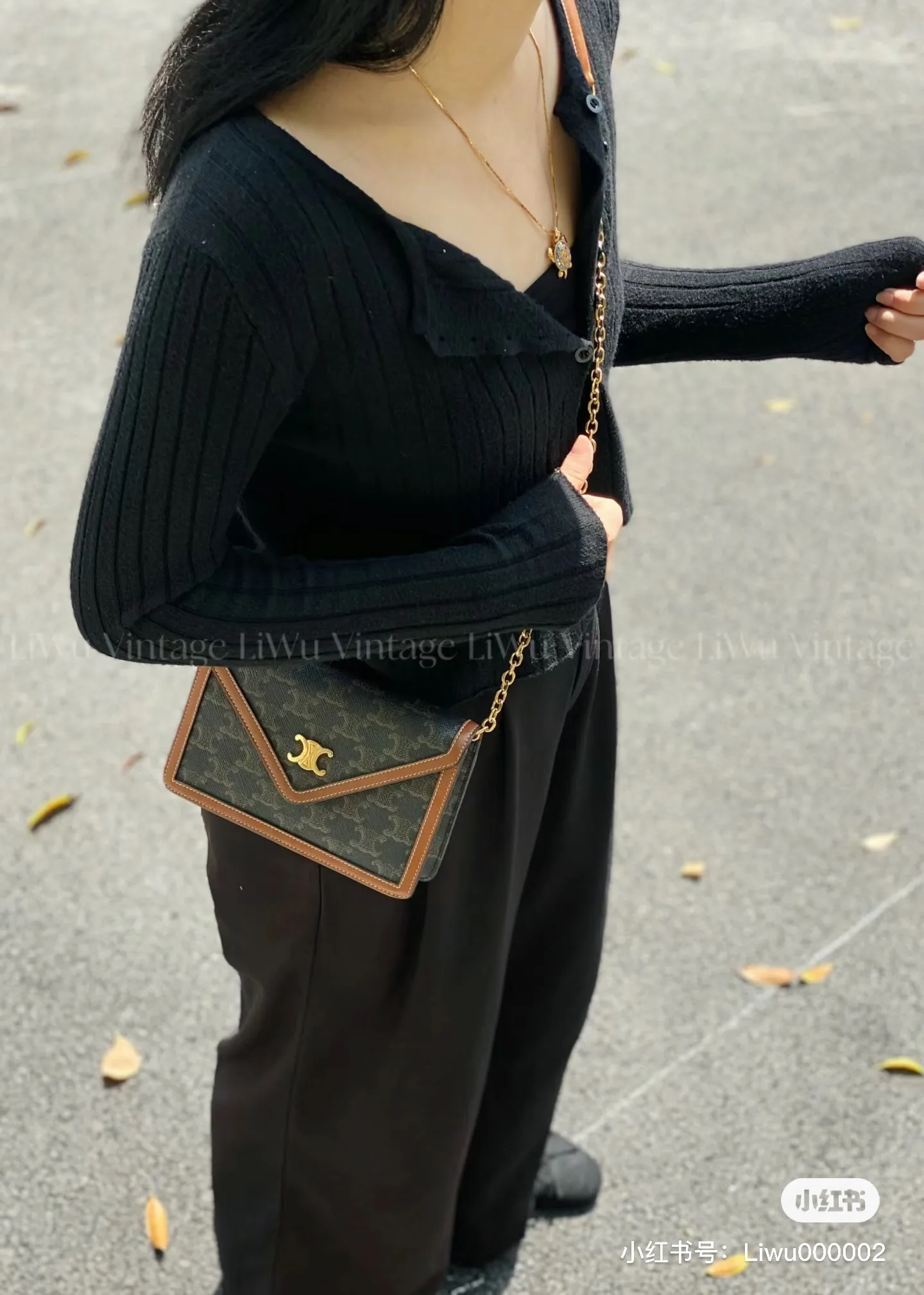 Triomphe Canvas Chain Envelope Bag D28017824 — view 8