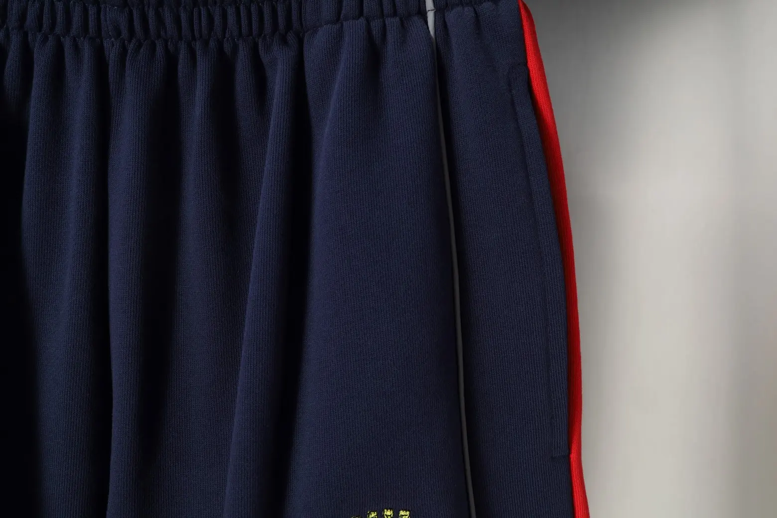 Lion Crest Embroidered Baggy Sweat Shorts D17522561 — view 5