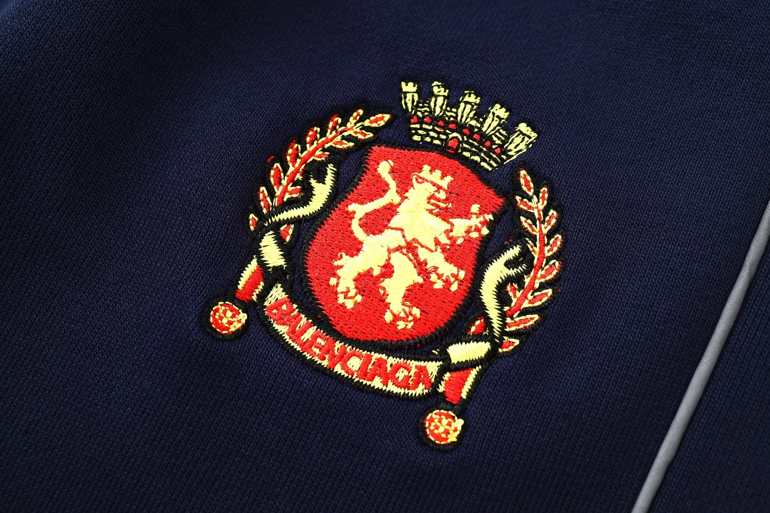 Lion Crest Embroidered Baggy Sweat Shorts D17522561 — view 12