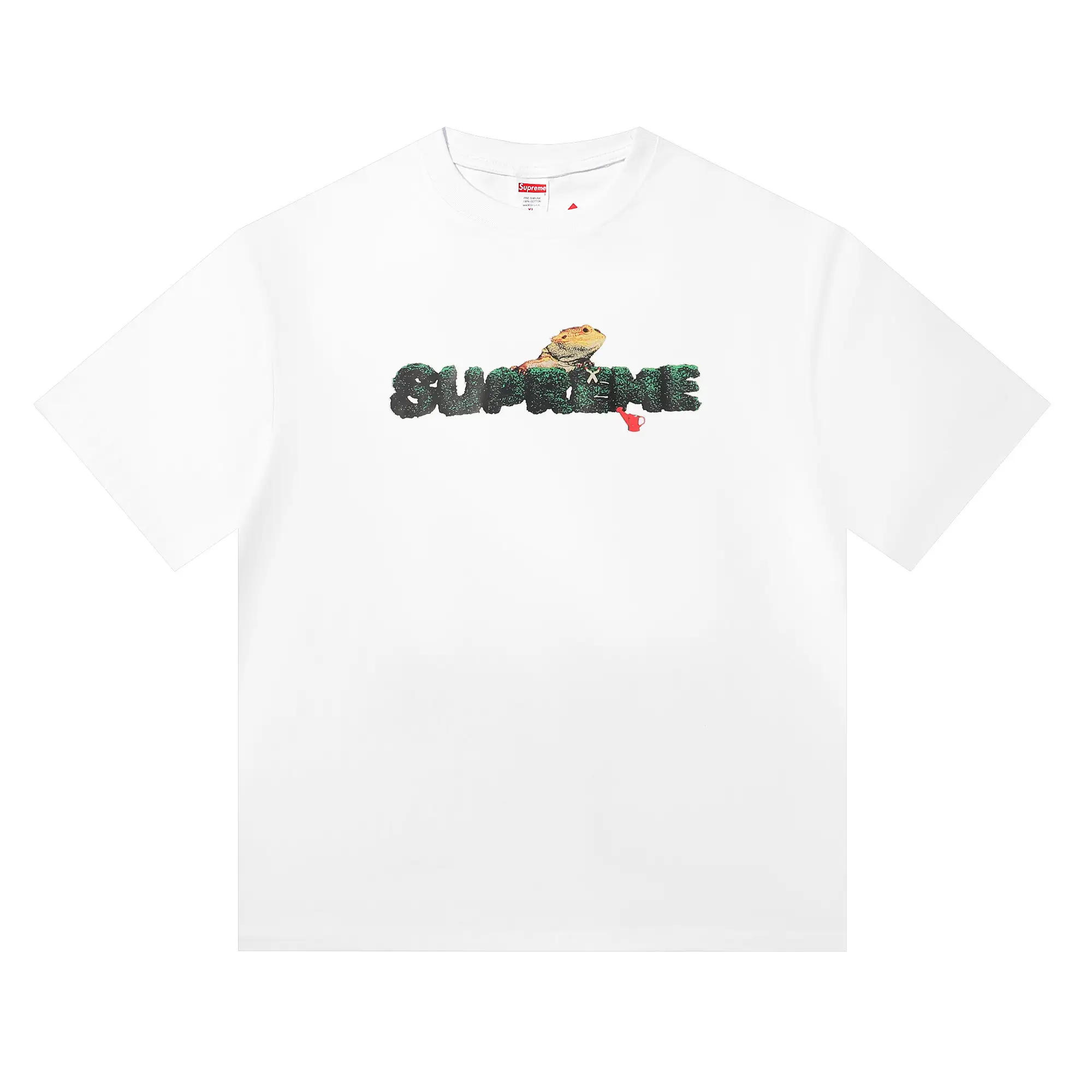 Lizard Graphic Logo T-Shirt D4816071