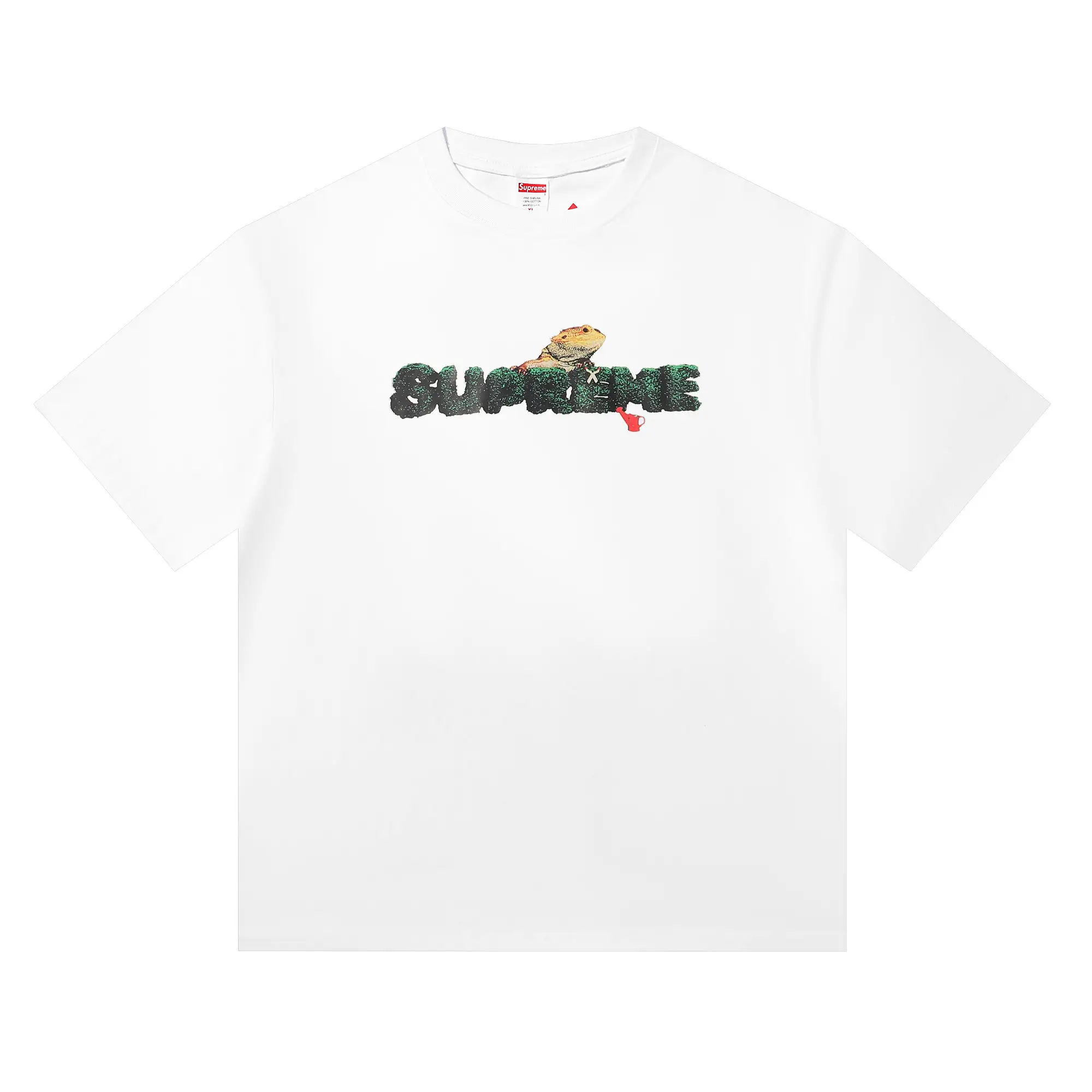 Lizard Graphic Logo T-Shirt D4816071