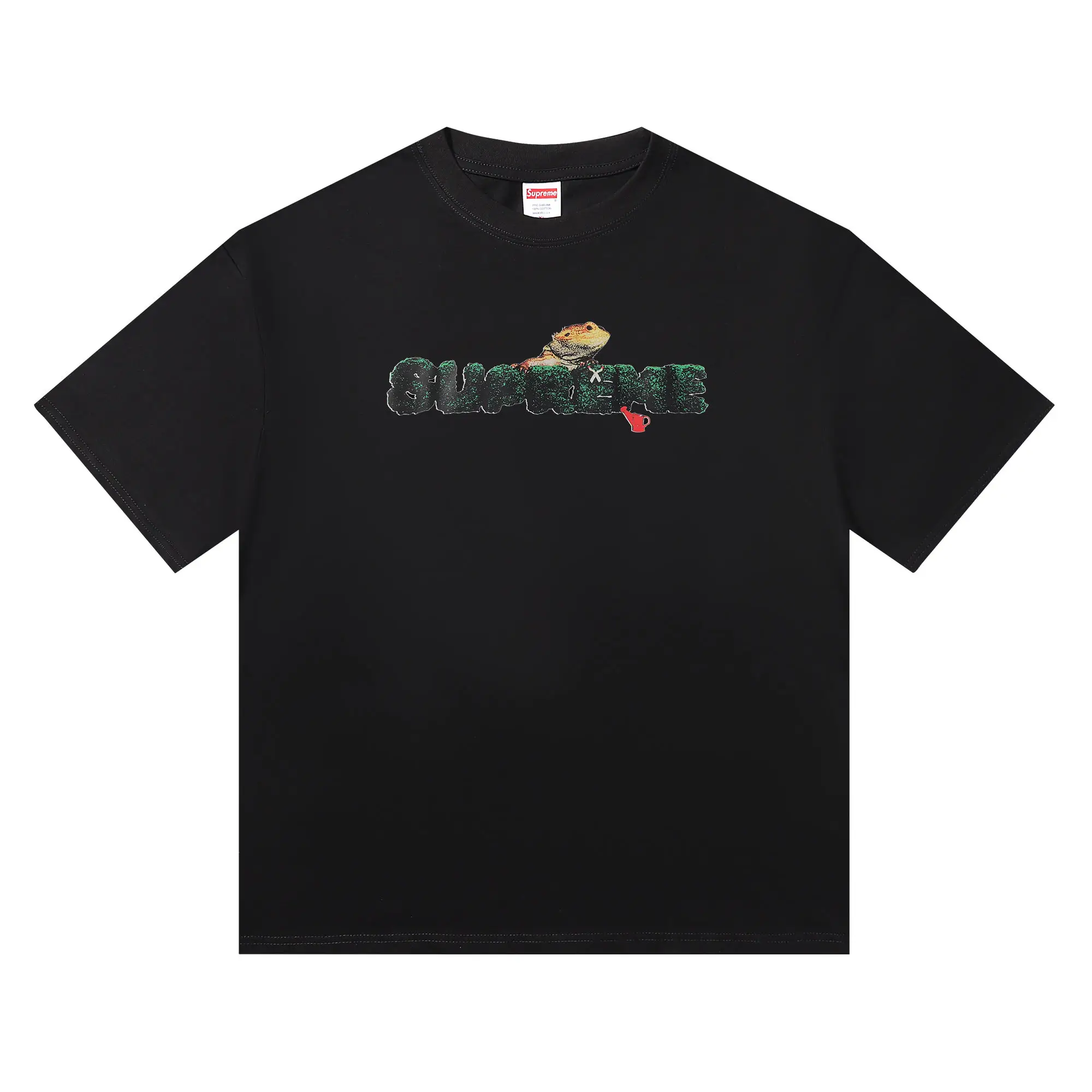 Lizard Graphic Logo T-Shirt D4816071 — view 3