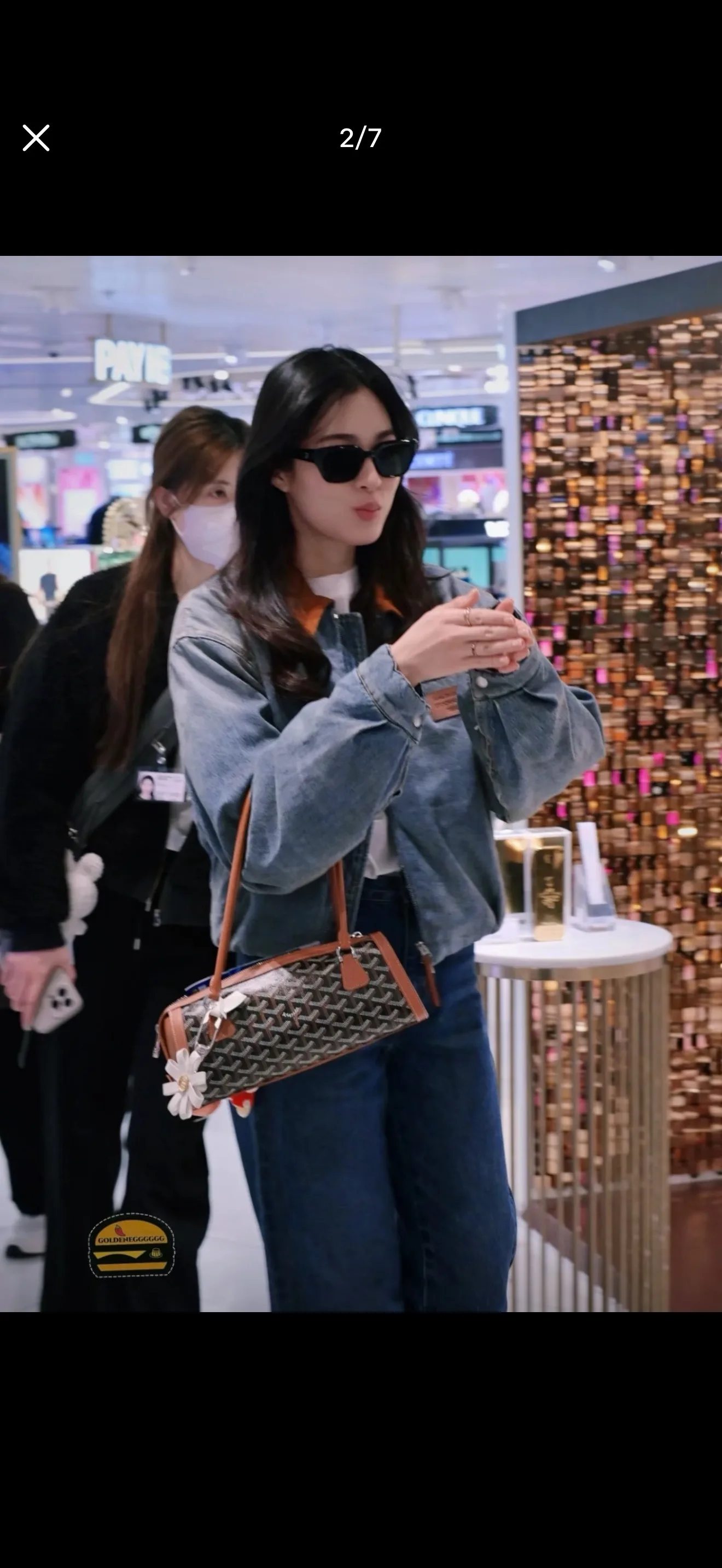 Goyard Baguette Shoulder Bag D34011062 — view 6