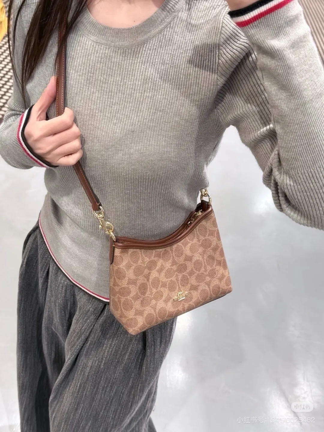 Coach Mini Signature Hobo Bag D28511083