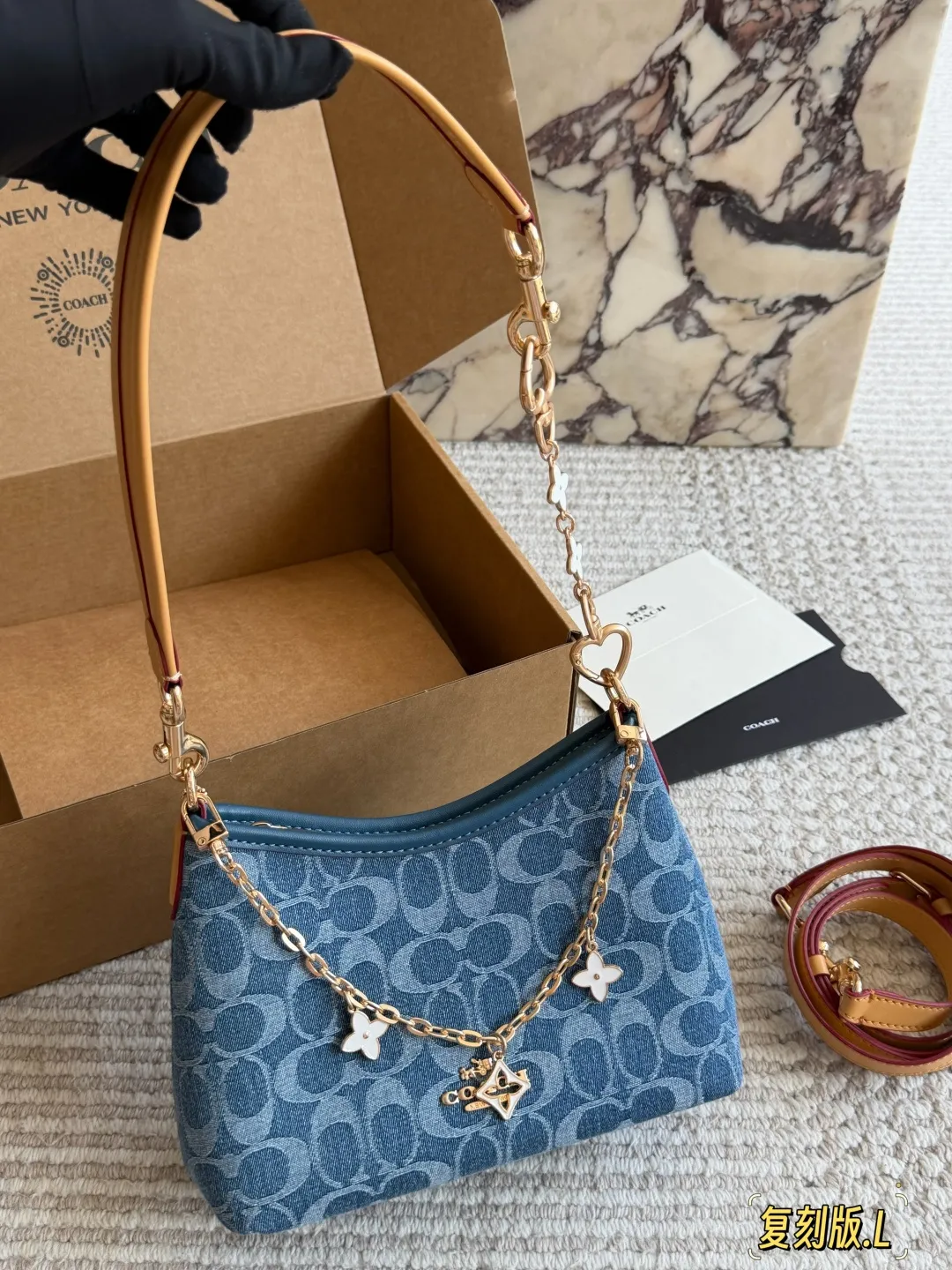 Coach Mini Hobo Bag D28511084