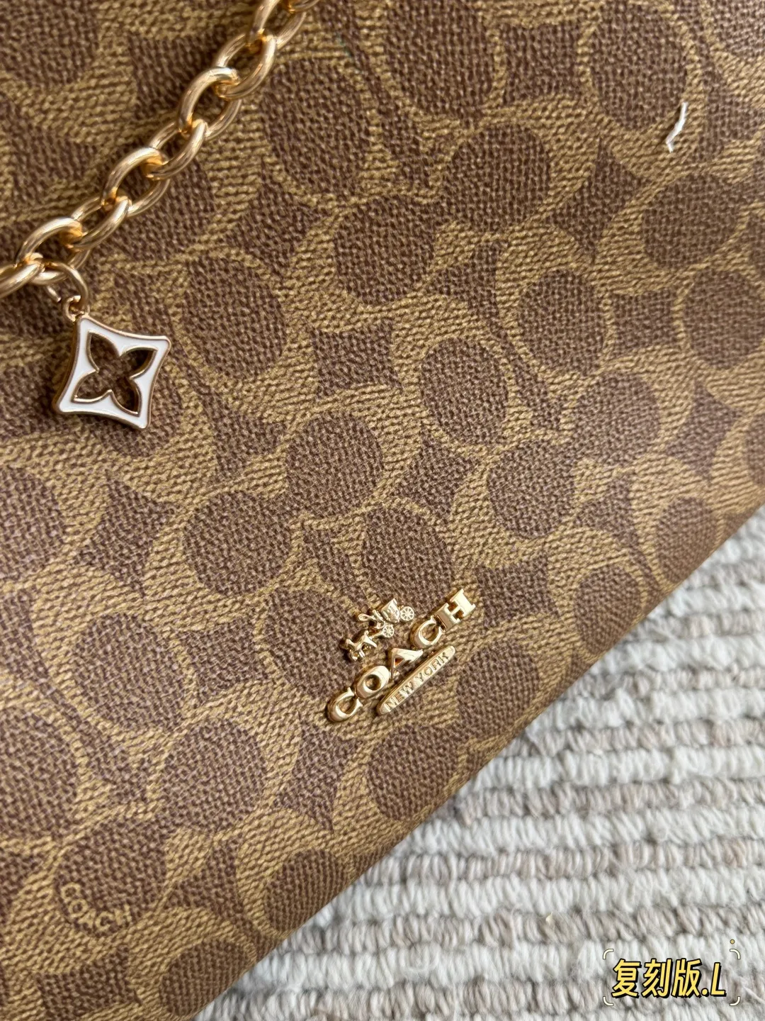Coach Laurel Hobo Bag with Charms D31011087 — view 7