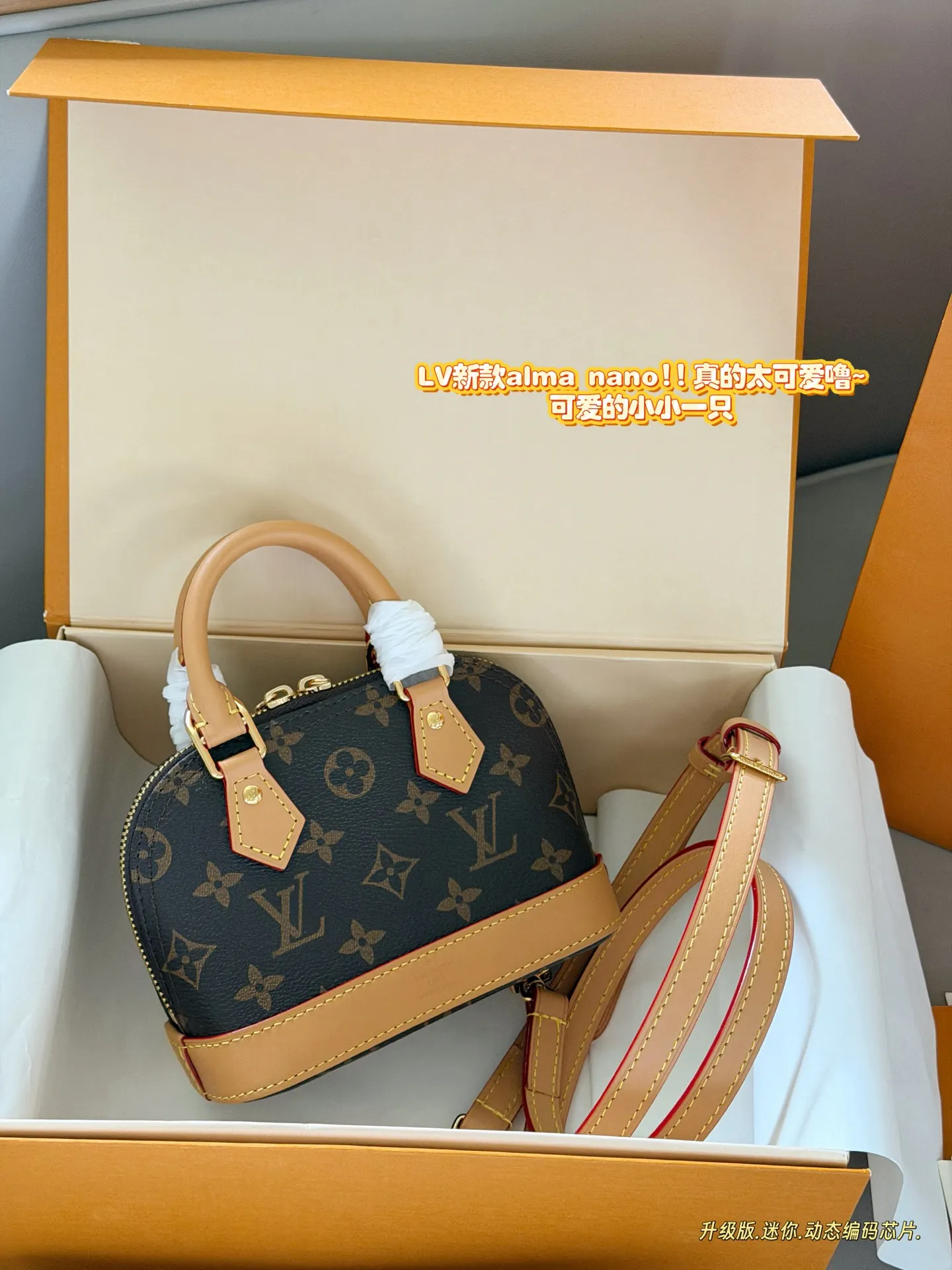 Louis Vuitton Alma Nano Monogram Crossbody Bag D35011105