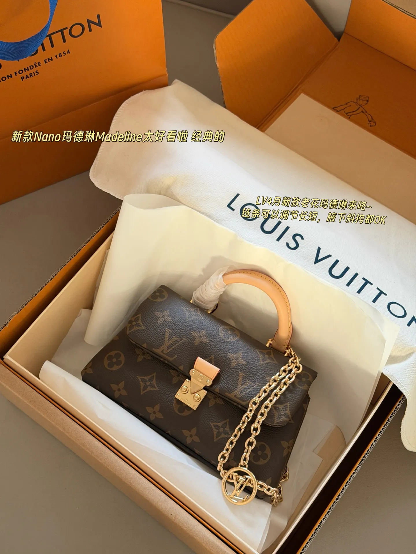 Louis Vuitton Nano Madeline Monogram Bag D35011107