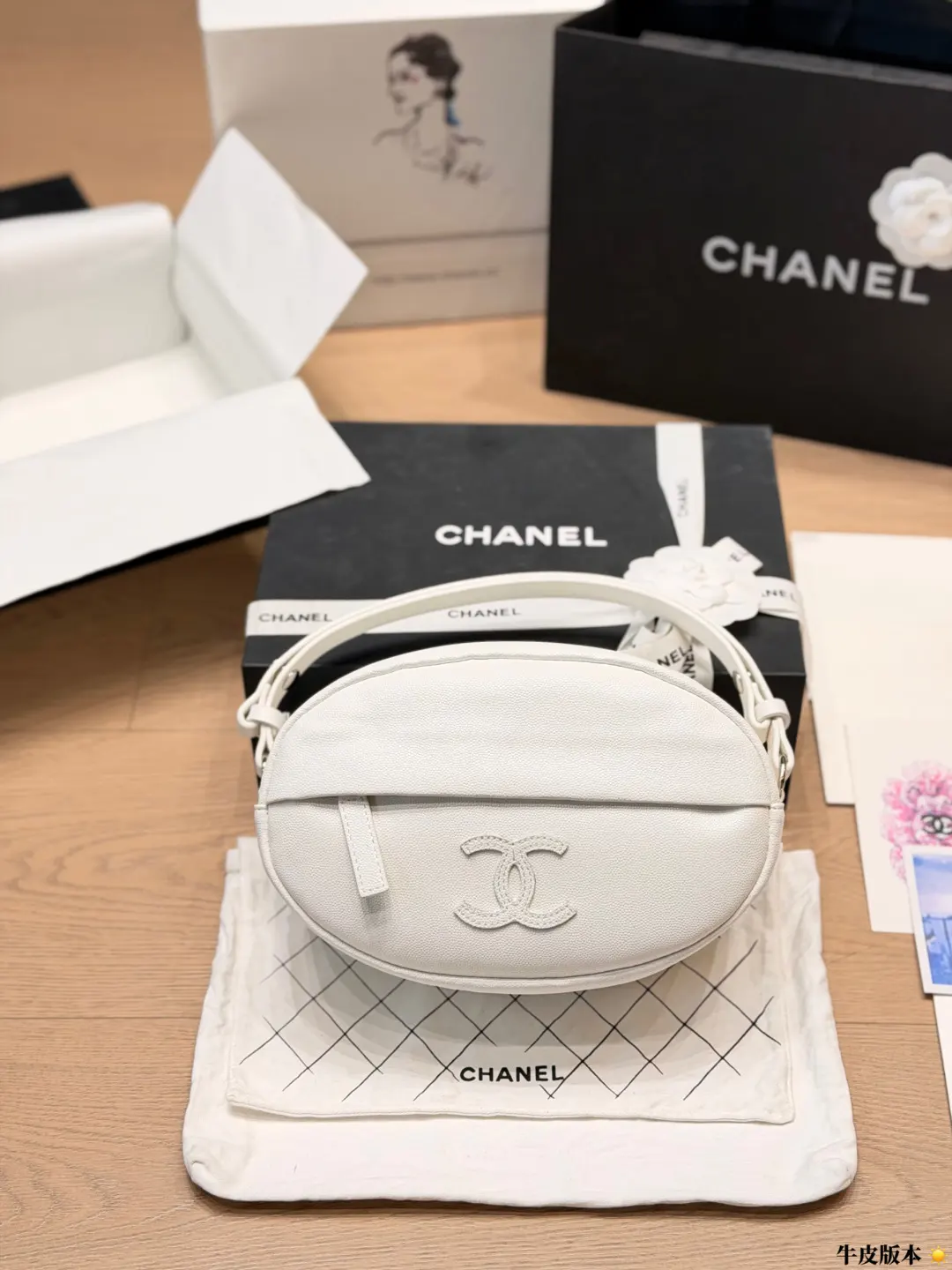 Chanel Crescent Moon Crossbody Bag D27011111