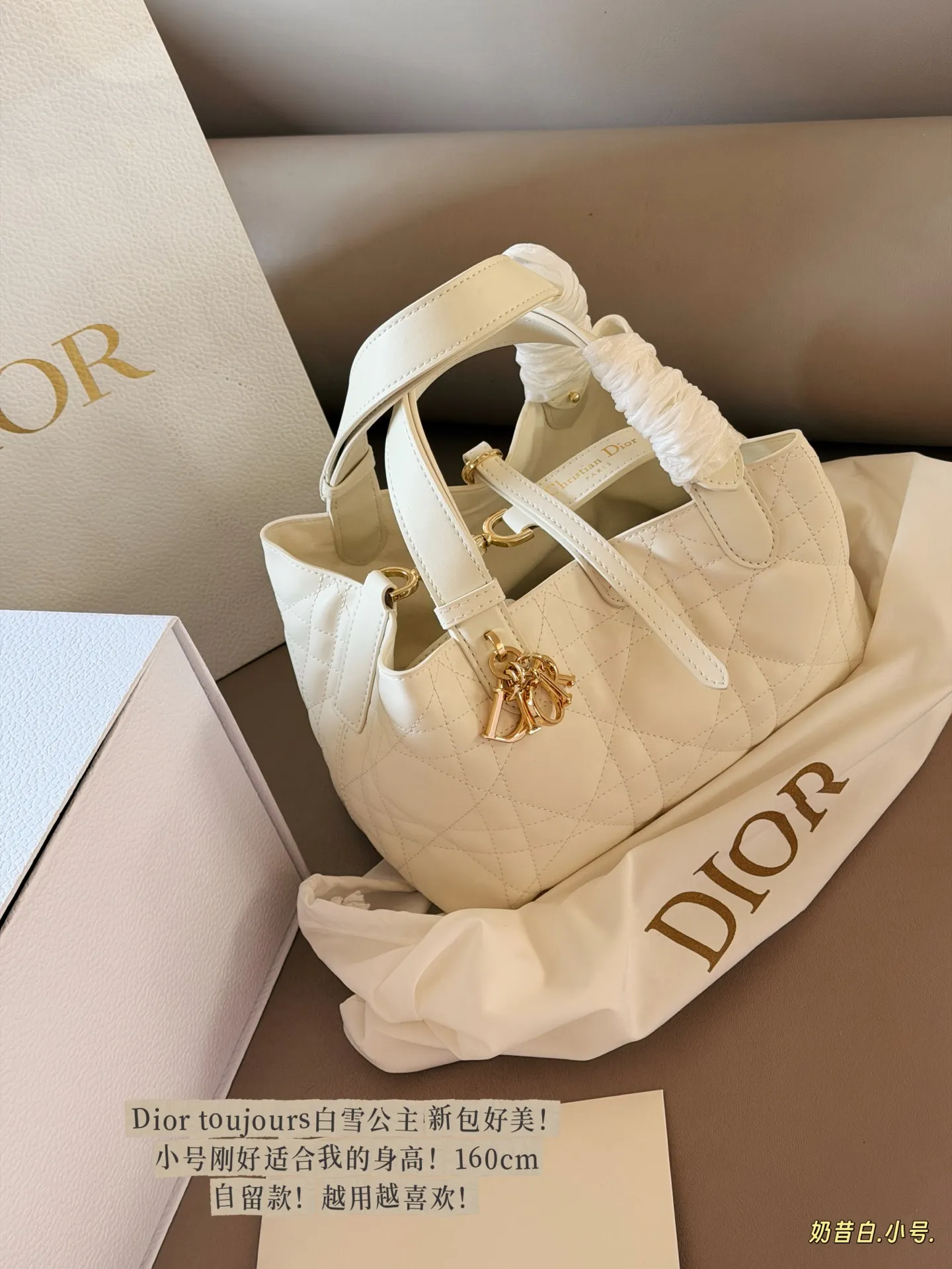 Dior Toujours Small Quilted Top-Handle Bag D42011135