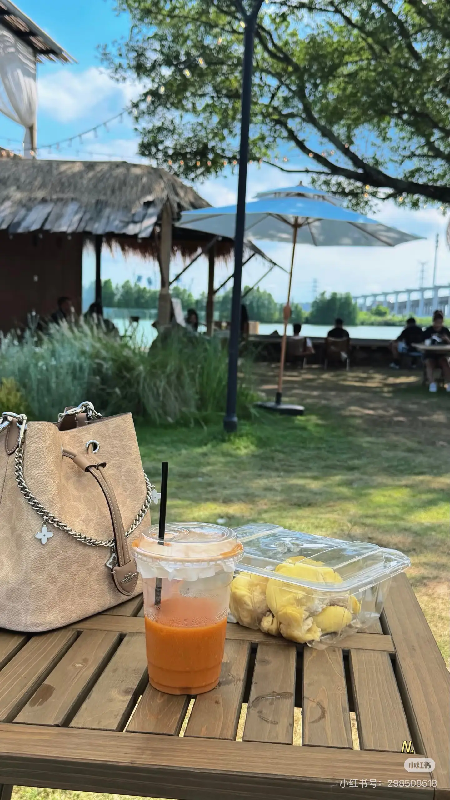 Coach Rowan 22 Signature Bucket Bag D35011142 — view 4