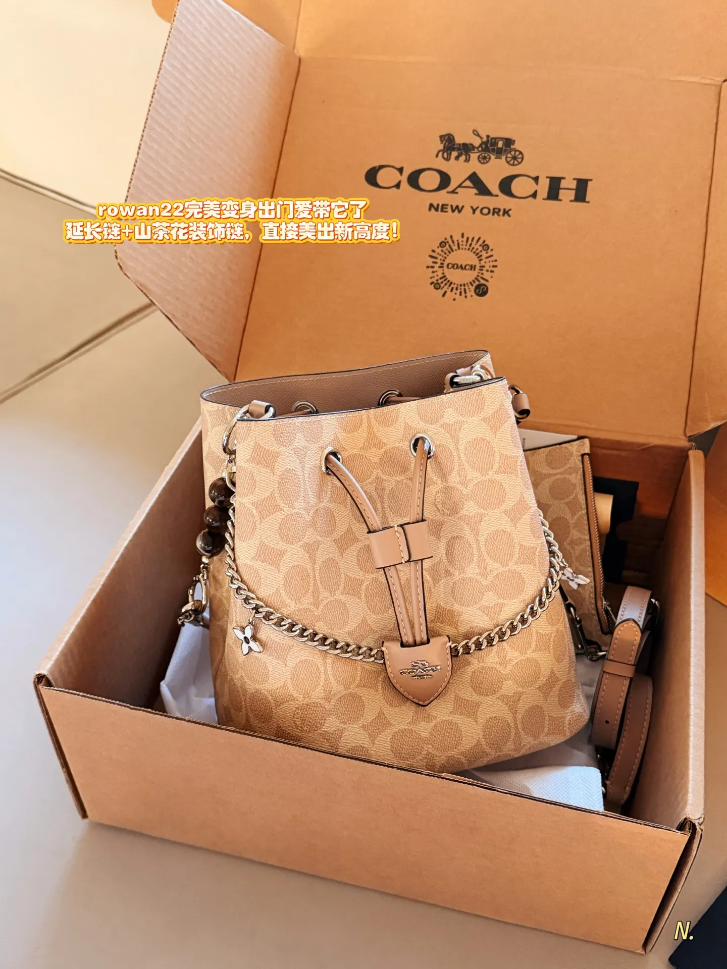 Coach Rowan 22 Signature Bucket Bag D35011019