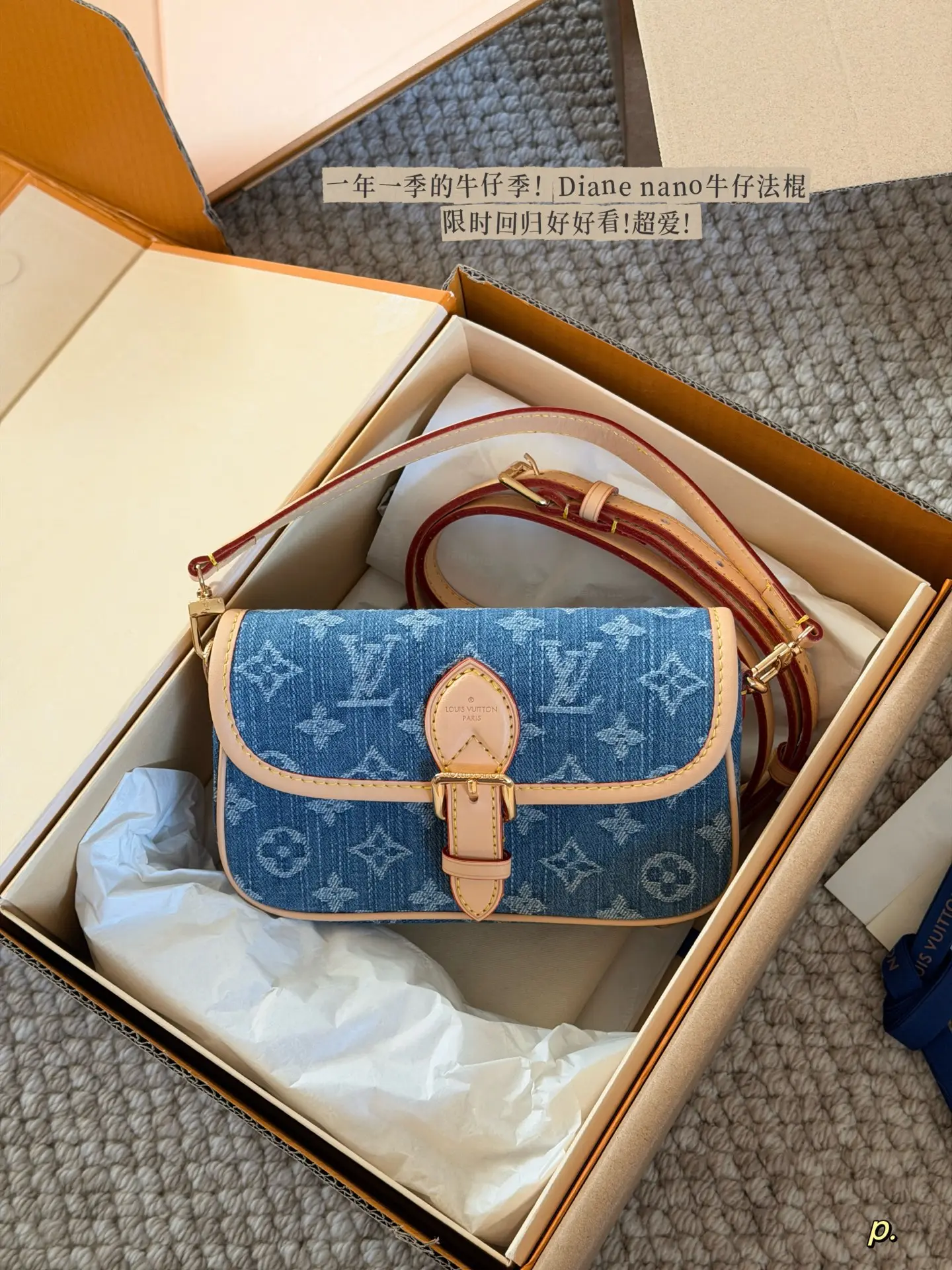 Louis Vuitton Diane Nano Denim Baguette Bag D29011147