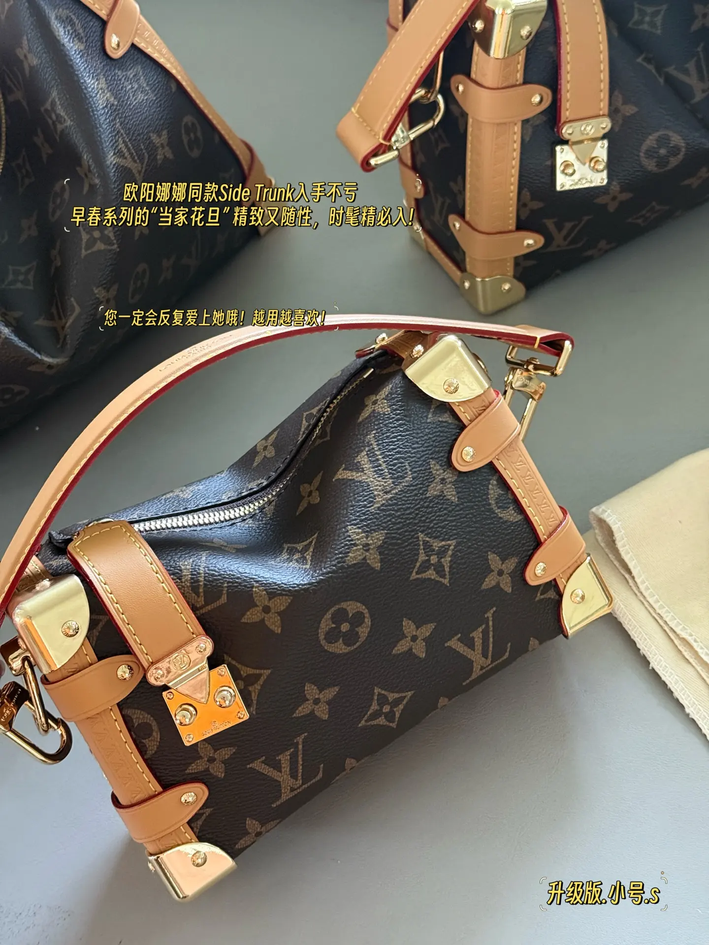 Louis Vuitton Monogram Side Trunk Soft Box Bag D38011155