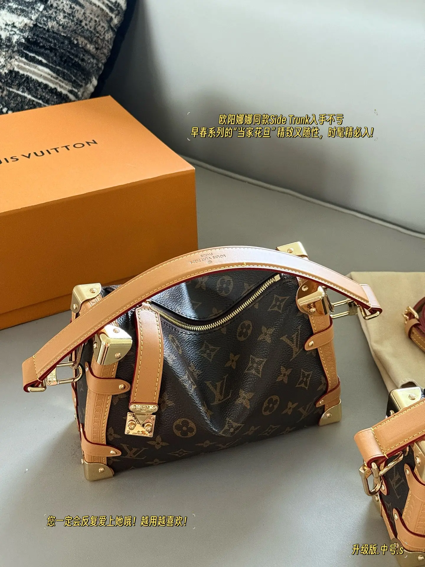 Monogram Side Trunk Soft Box Bag D38011156