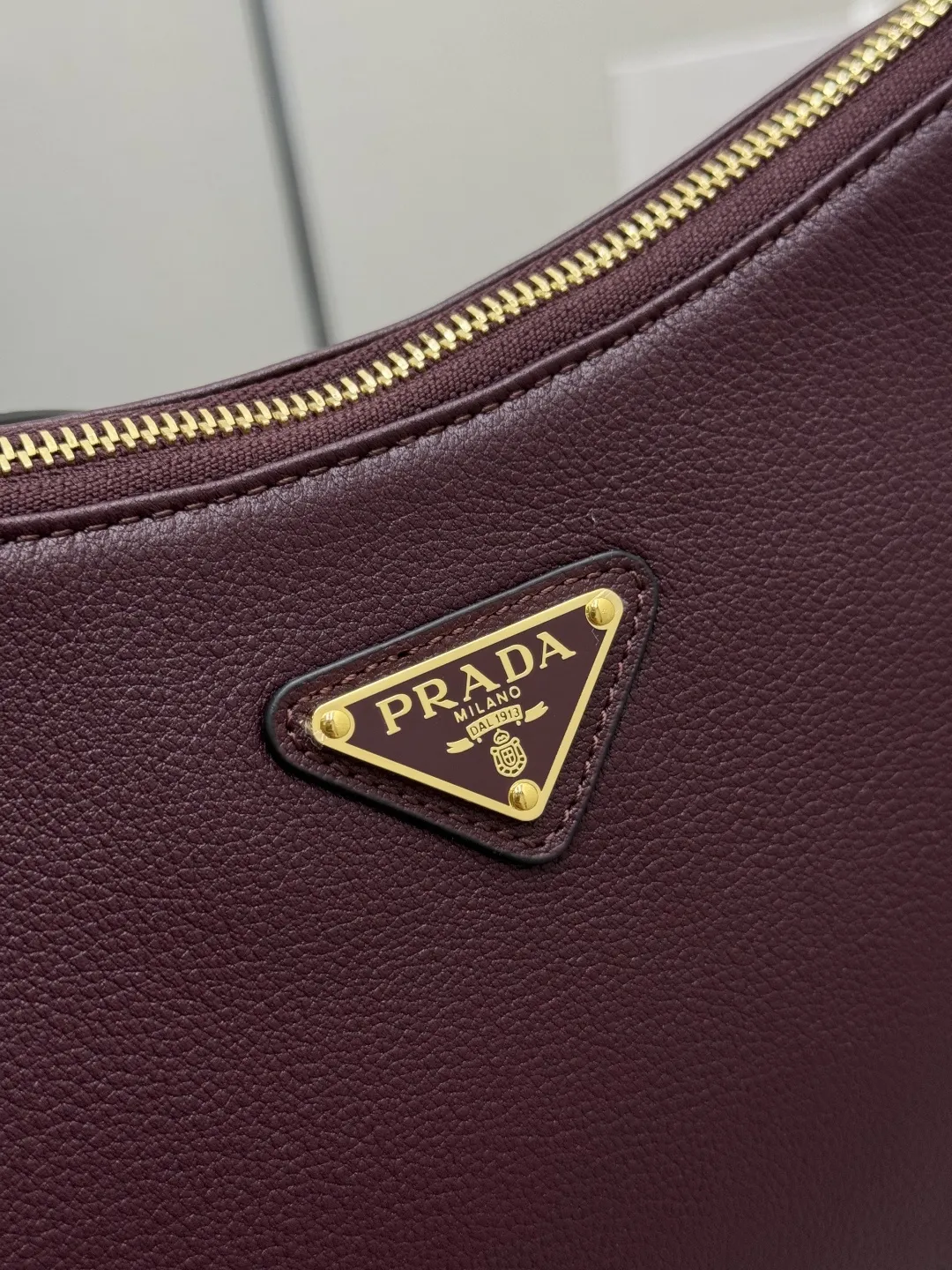 Prada Aimee Small Leather Hobo Bag D103011258 — view 7