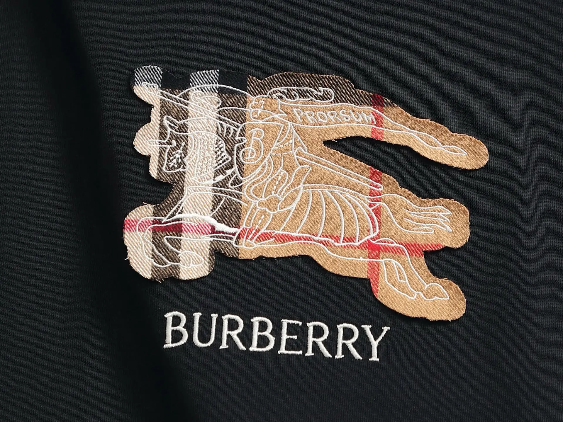 Logo Appliqué Cotton Jersey T-Shirt D13513687 — view 4