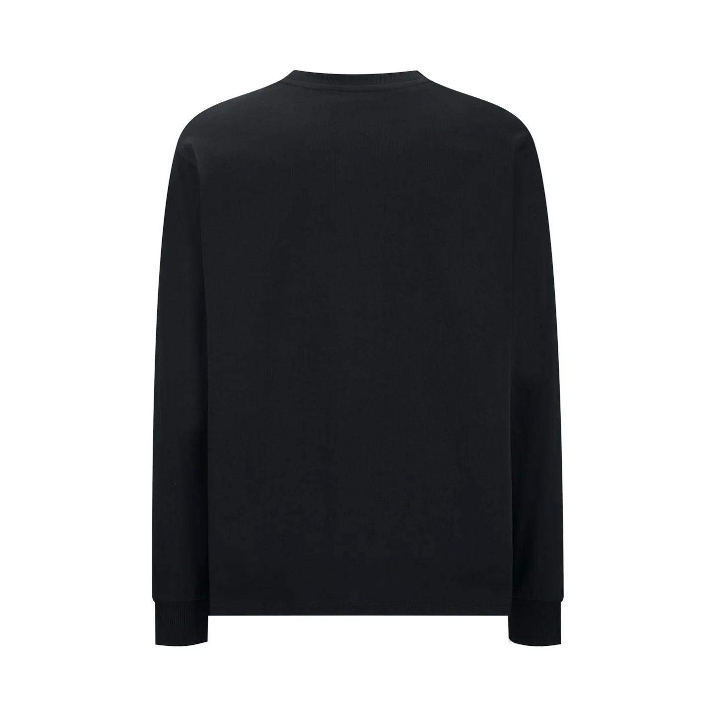 Triomphe Embroidered Long-Sleeve T-Shirt D17520529 — view 2