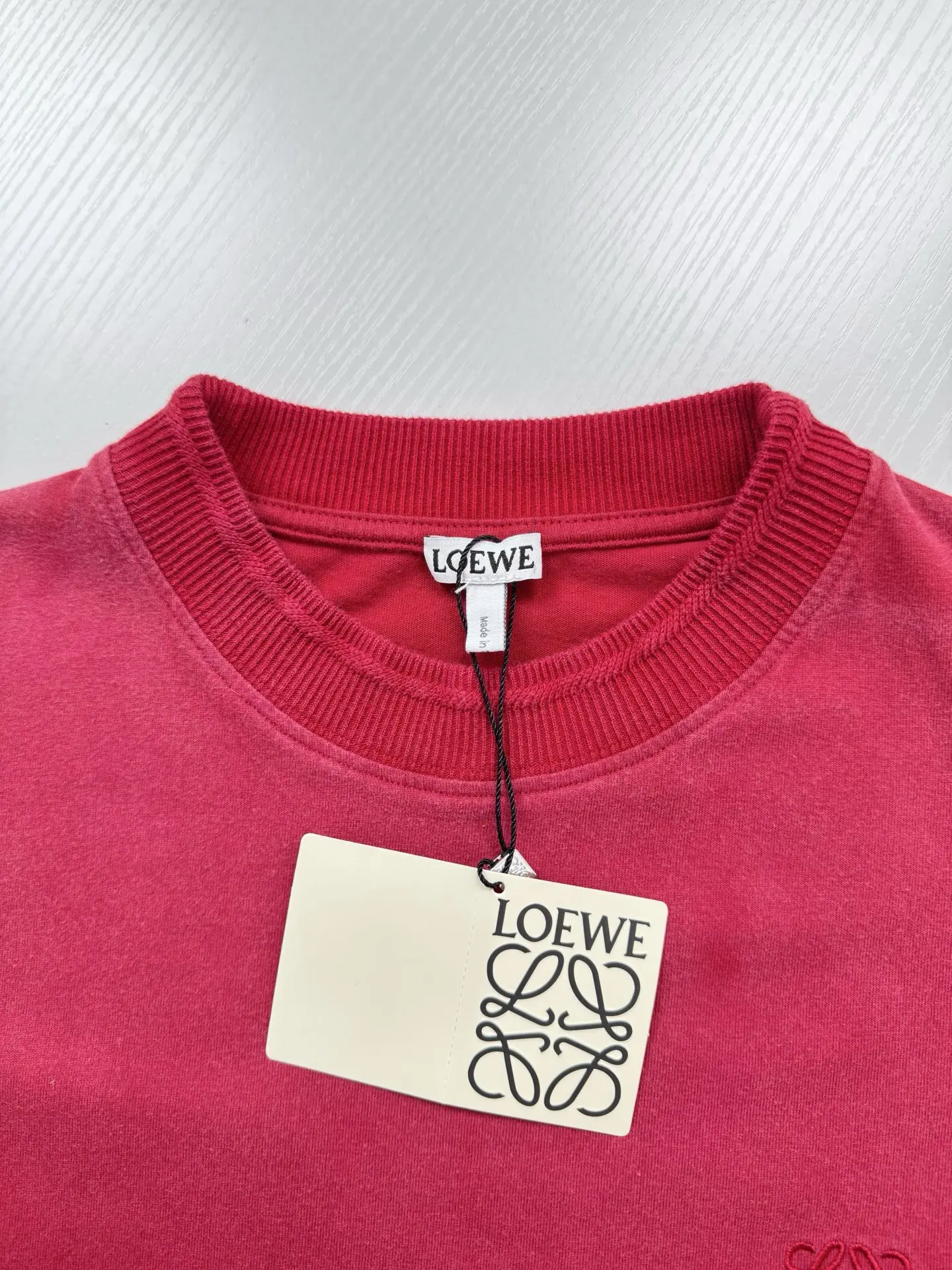 Anagram Embroidered Washed Cotton T-Shirt D19818723 — view 6