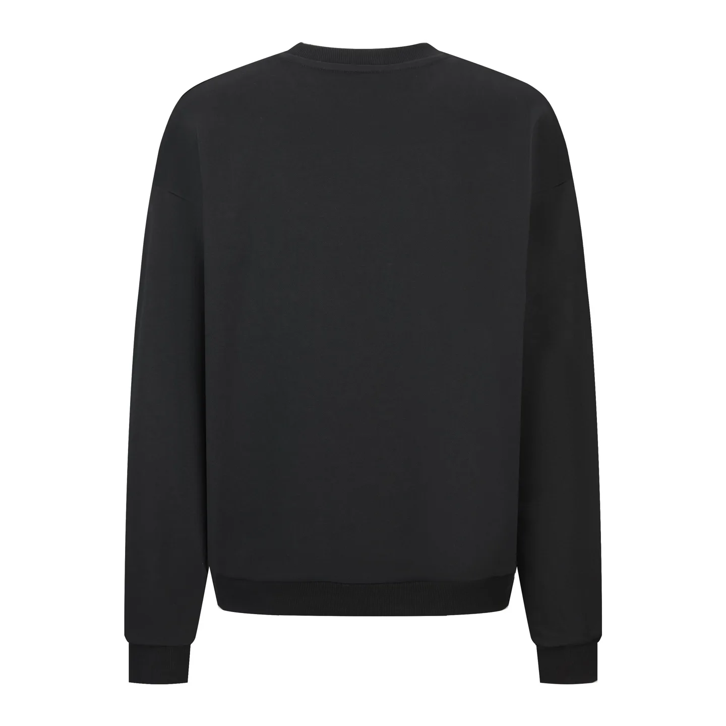 Triomphe Embroidered Cotton-Fleece Sweatshirt D21522375 — view 2