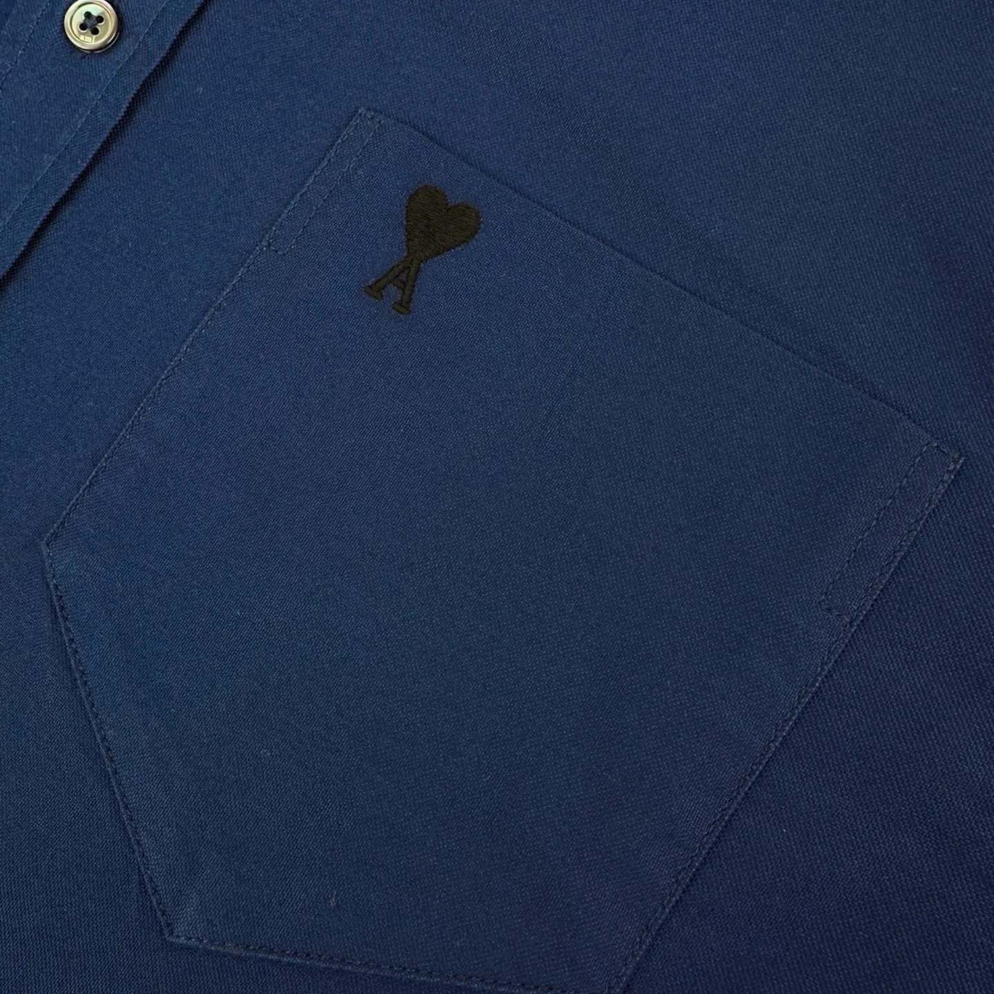 Ami de Coeur Embroidered Oxford Shirt D26022324 — view 6