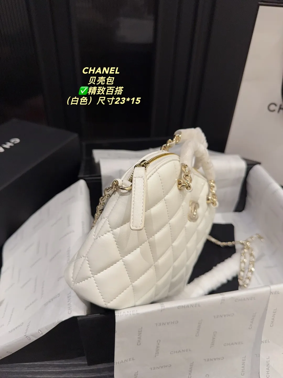 Chanel Quilted Lambskin Shell Bag D28018189 — view 13