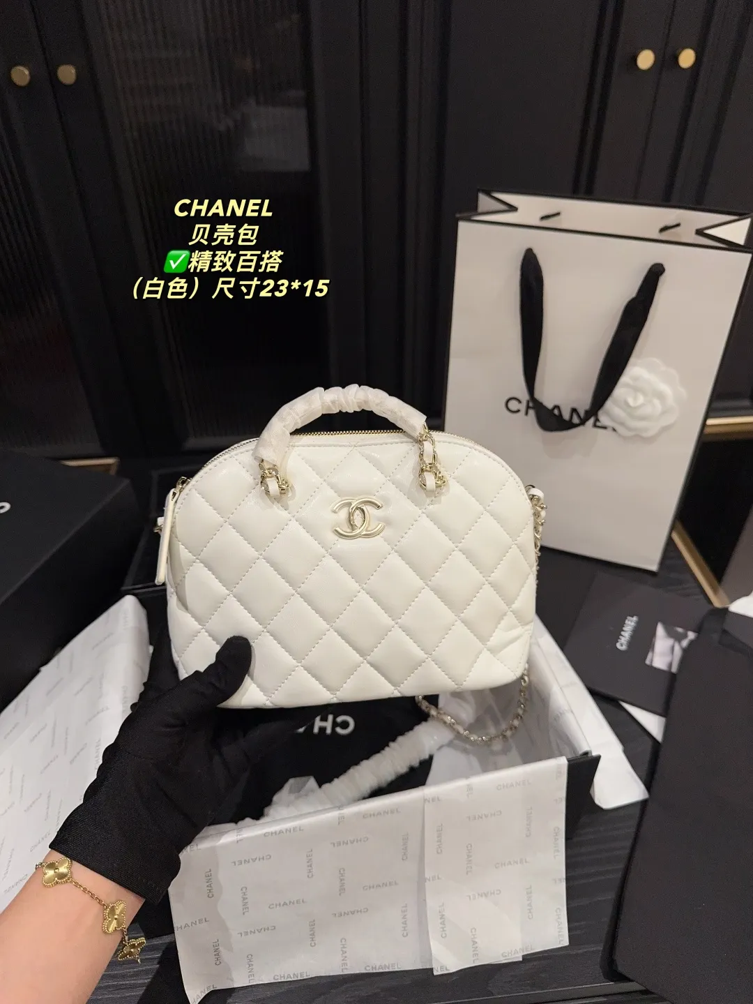 Chanel Quilted Lambskin Shell Bag D28018189 — view 14