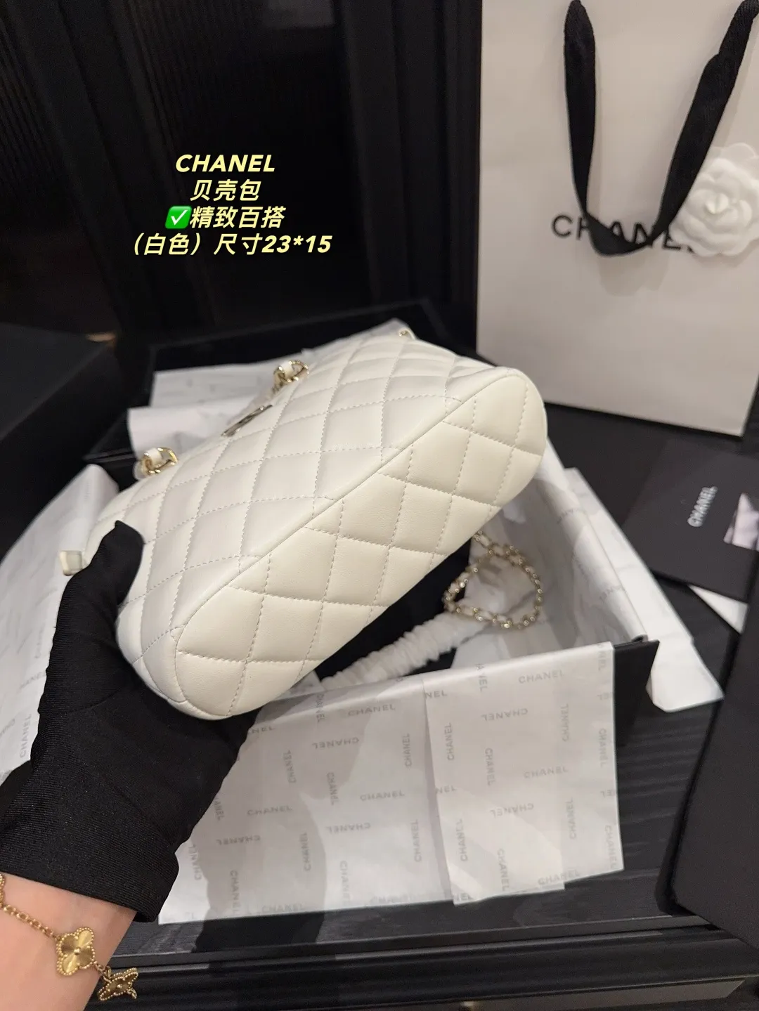 Chanel Quilted Lambskin Shell Bag D28018189 — view 15