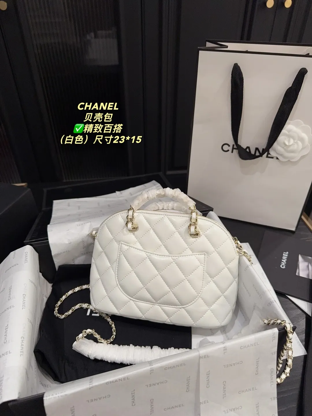 Chanel Quilted Lambskin Shell Bag D28018189 — view 17