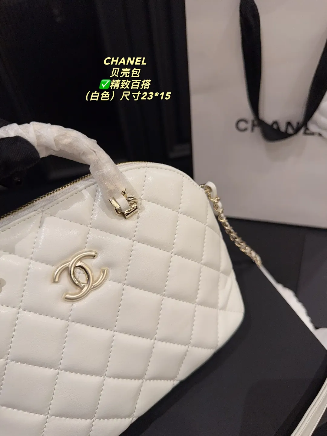 Chanel Quilted Lambskin Shell Bag D28018189 — view 18