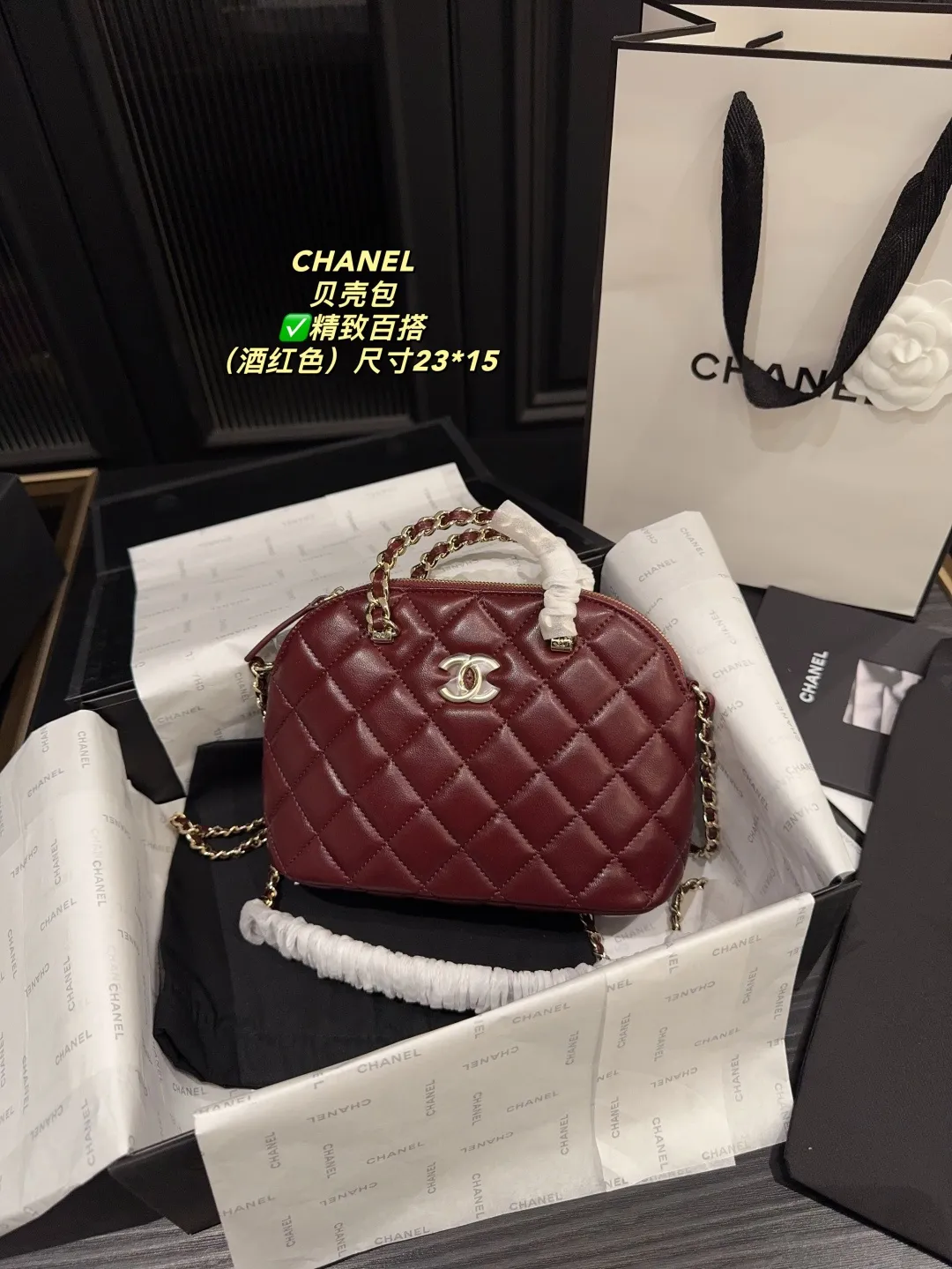 Chanel Quilted Lambskin Shell Bag D28018189 — view 19